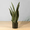 Dezi Artificial Snake Sansevieria 21'' – Realistic Dark Green Faux Potted Plant, Low-Maintenance Indoor Décor for Home, Office & Retail Spaces