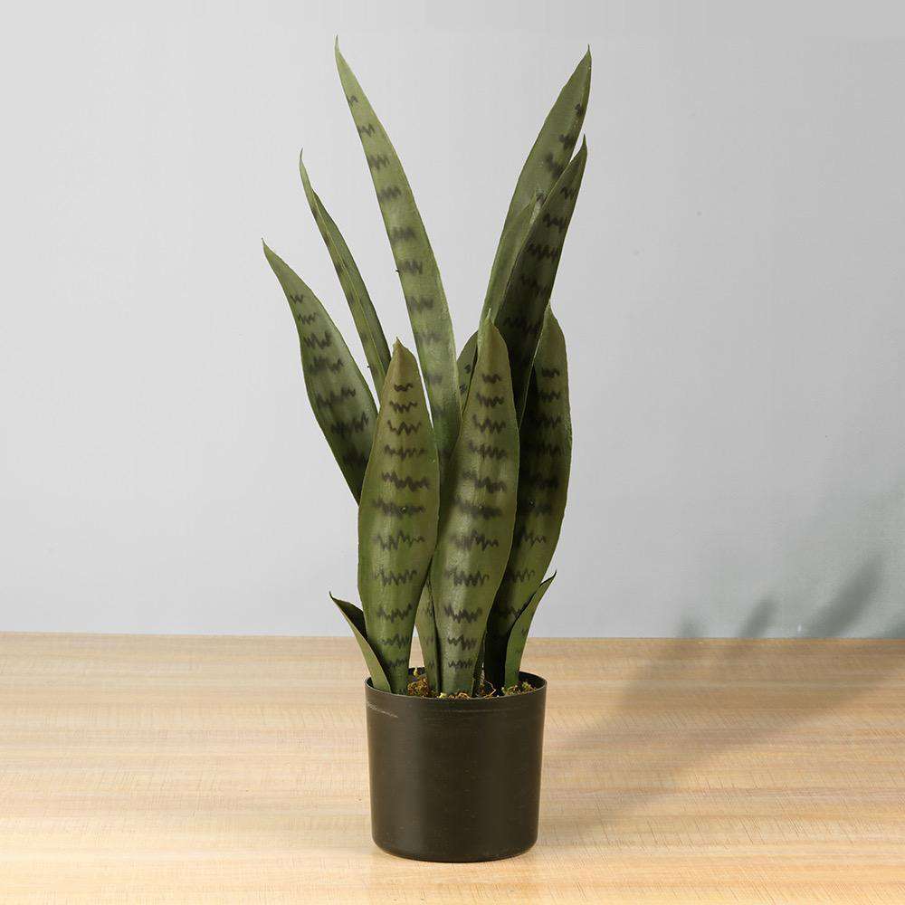 Dezi Artificial Snake Sansevieria Dark Green Potted Plant 21'' 