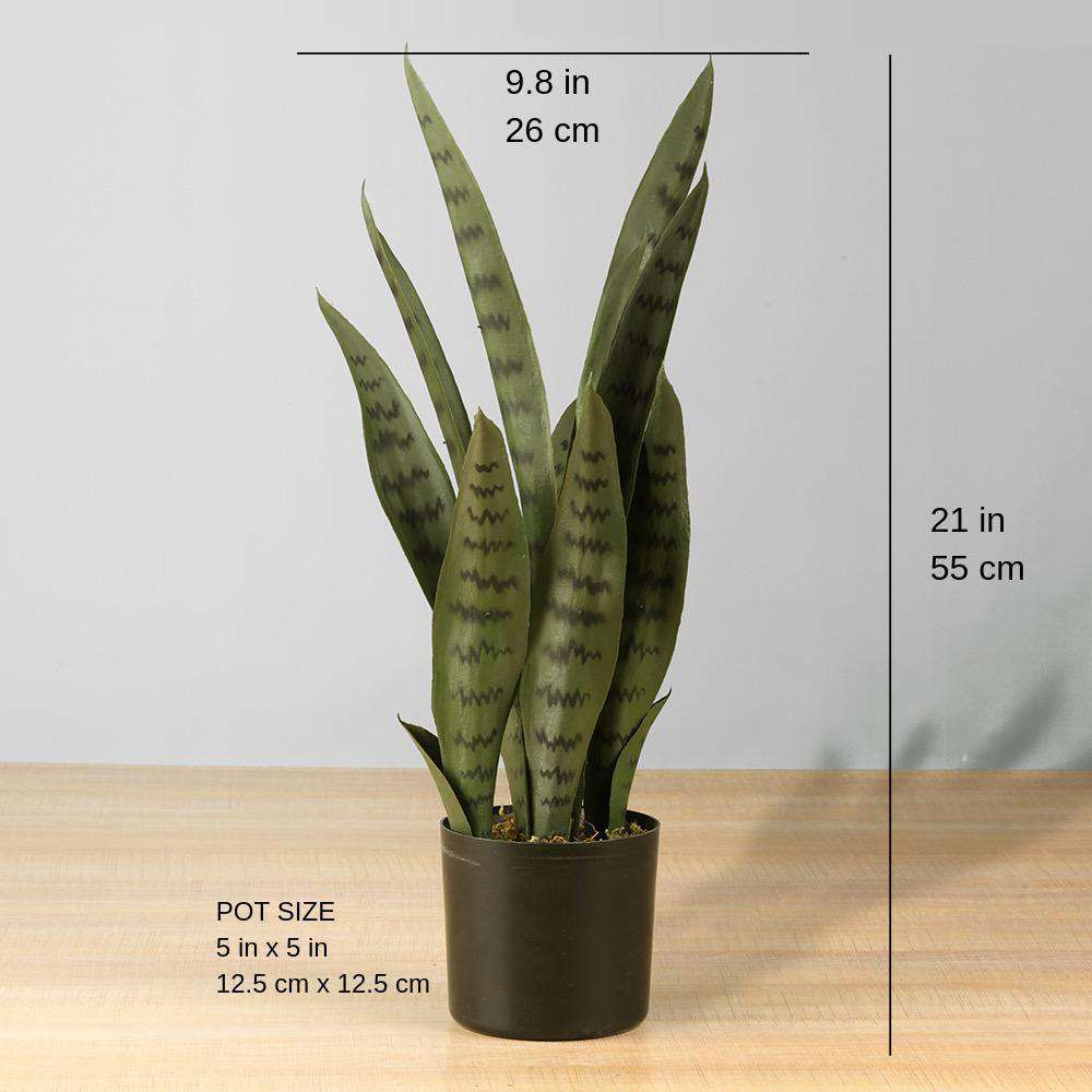 Dezi Artificial Snake Sansevieria Dark Green Potted Plant 21'' 