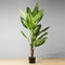 Dira Artificial Evergreen Potted Plant – Realistic Faux Evergreen, 5–8 ft, Lifelike Silk Leaves & Bark, Maintenance-Free Indoor & Office Décor