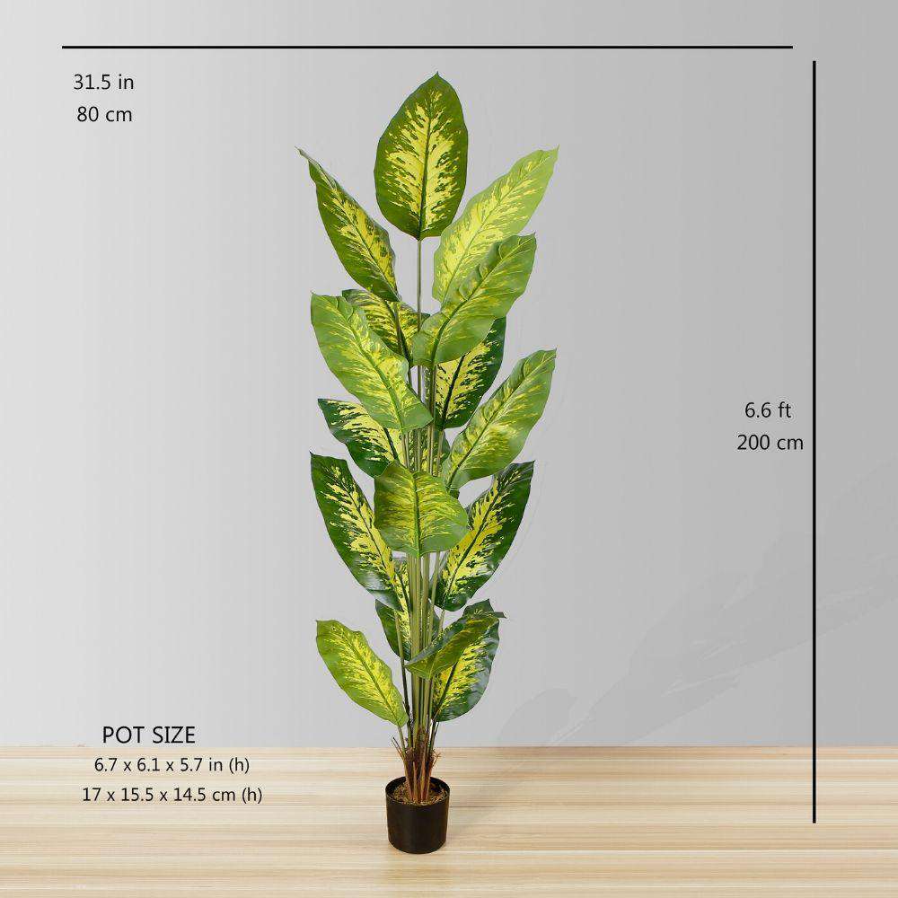 Dira Artificial Evergreen Potted Plant (Multiple Sizes) 