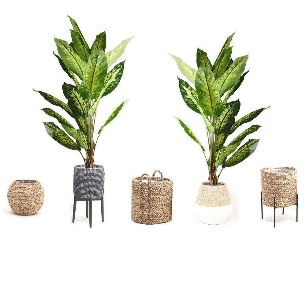 Dira Artificial Evergreen Potted Plant (Multiple Sizes) 