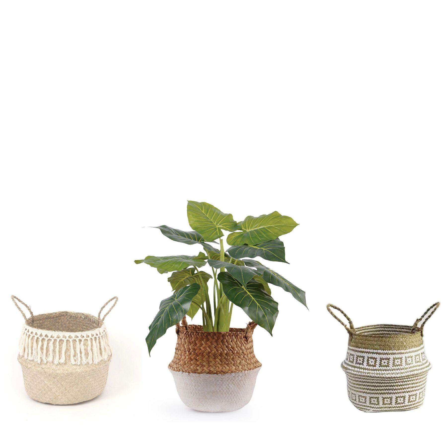 Dora Artificial Alocasia Potted Plant 28" 