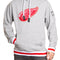 Detroit Red Wings 