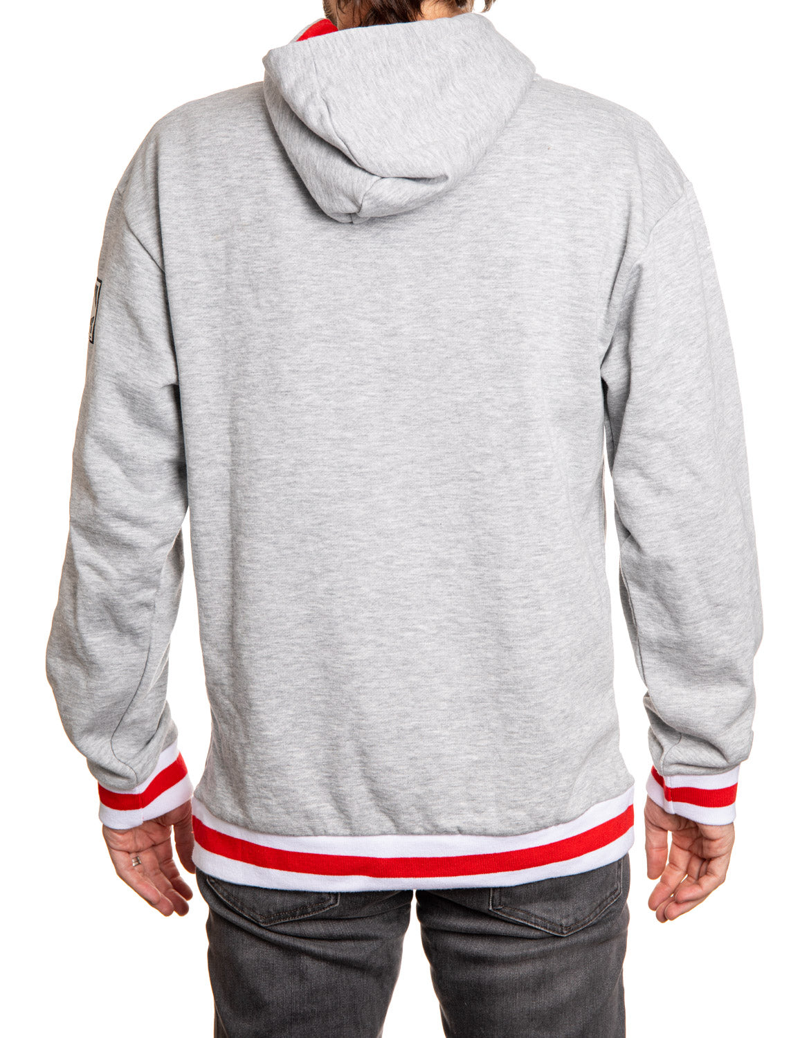 Detroit Red Wings "Muskoka Style" Premium Chenille Woven Logo Hoodie 