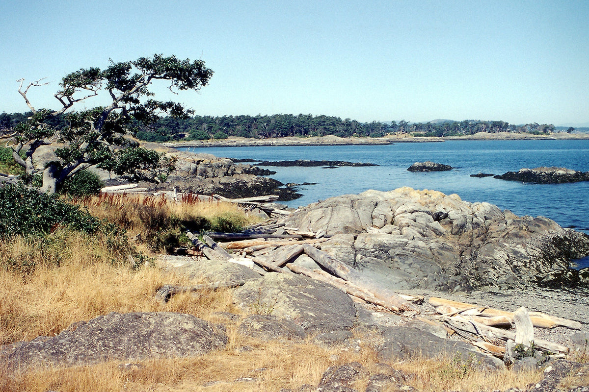 215 Victoria-Sooke Kayaking and Boating Map 