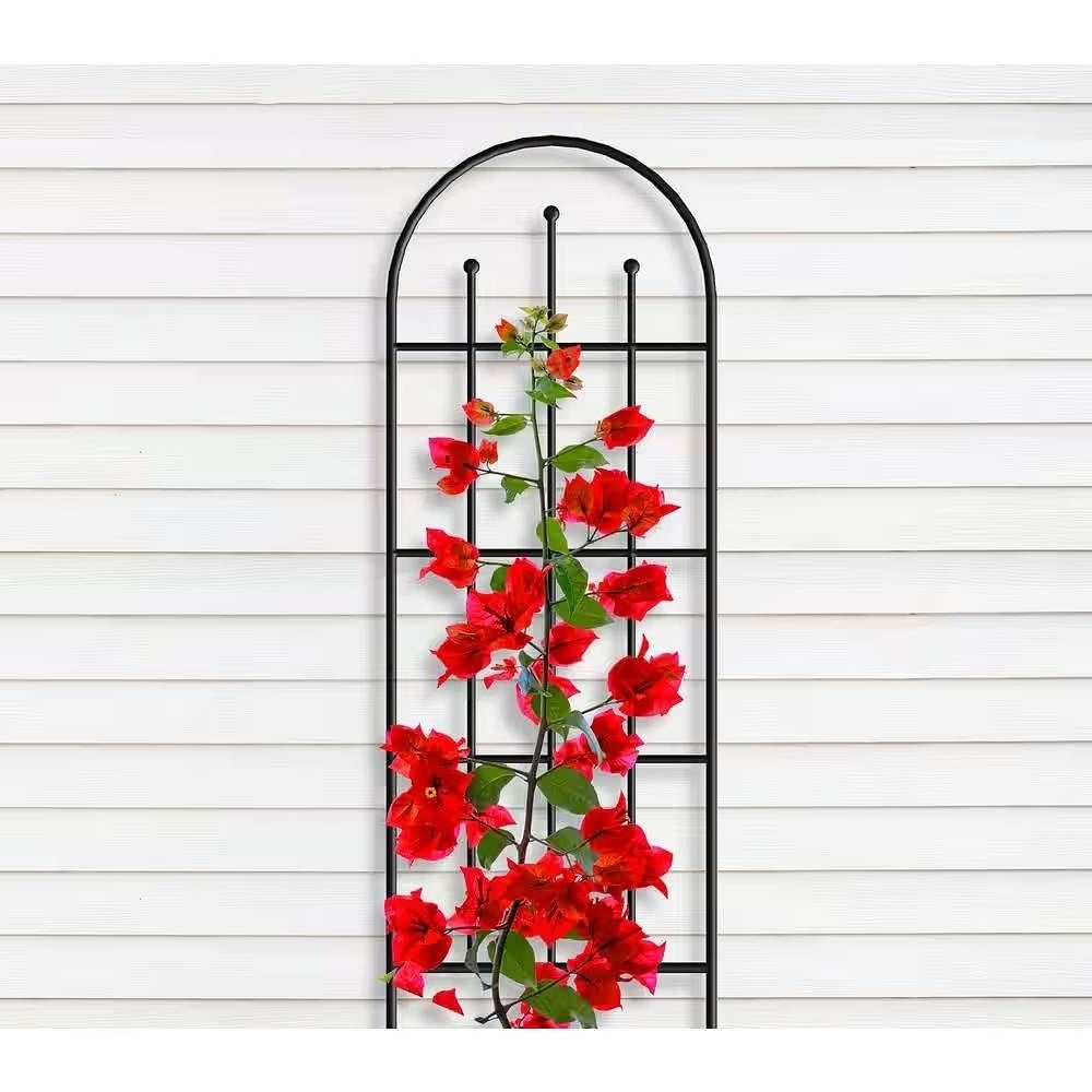 Outdoor 80-inch Tall Garden Trellis in Black Powder Coated Steel Finish - Free Shipping