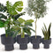 Elle Black Bamboo Mid-Century Mushroom Planter – Sustainable Handmade Boho Pot for Faux Plants & Home Décor (Multiple Sizes)