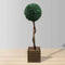 Ely Faux Potted Boxwood Topiary Plant 3' – UV-Resistant Artificial Greenery for Indoor & Outdoor Décor