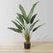 Emma Artificial Travellers Palm Tree Potted Plant 43'' – Realistic Faux Greenery for Indoor & Outdoor Décor, Maintenance-Free