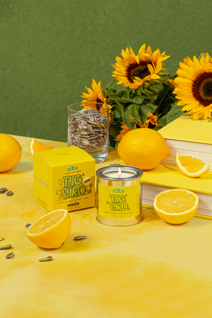 Sesame Street x Mala: Big Bird | Mandarin Orange + Sunflower + Suede 