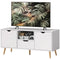 TV Stand with Storage for up to 50
