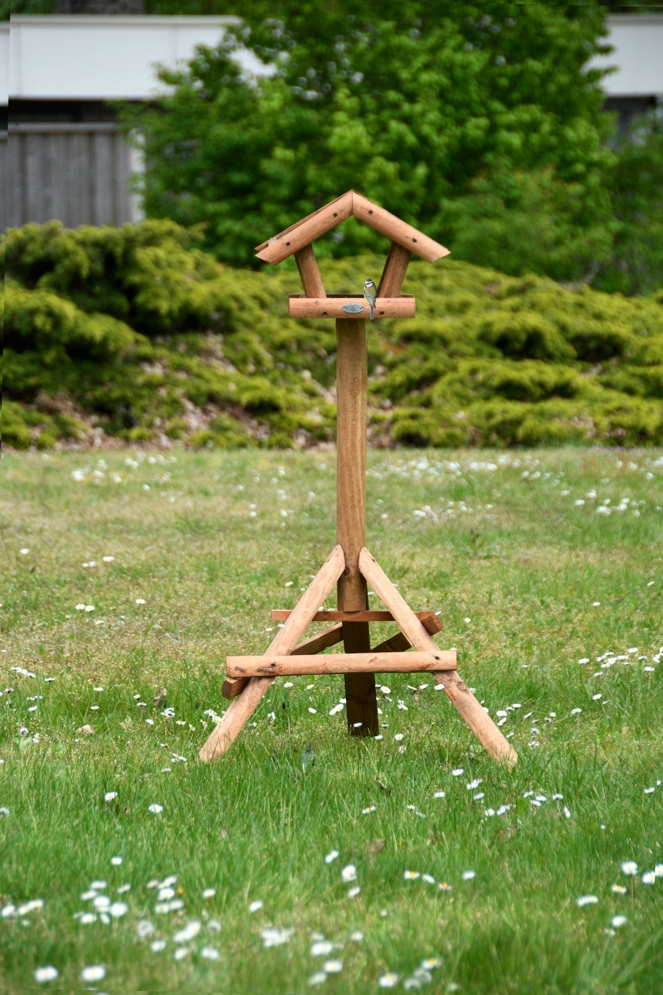 High Bird Table On Pole 
