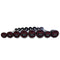 Straight and EZ Curl Fixed Weight Barbell Sets - 20 to 100 LB