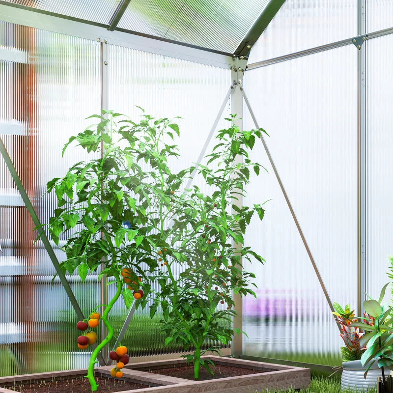 6' x 4' x 6.6' Walk-in Greenhouse, Polycarbonate Greenhouse with Adjustable Roof Vent, Base, Sliding Door, Clear
