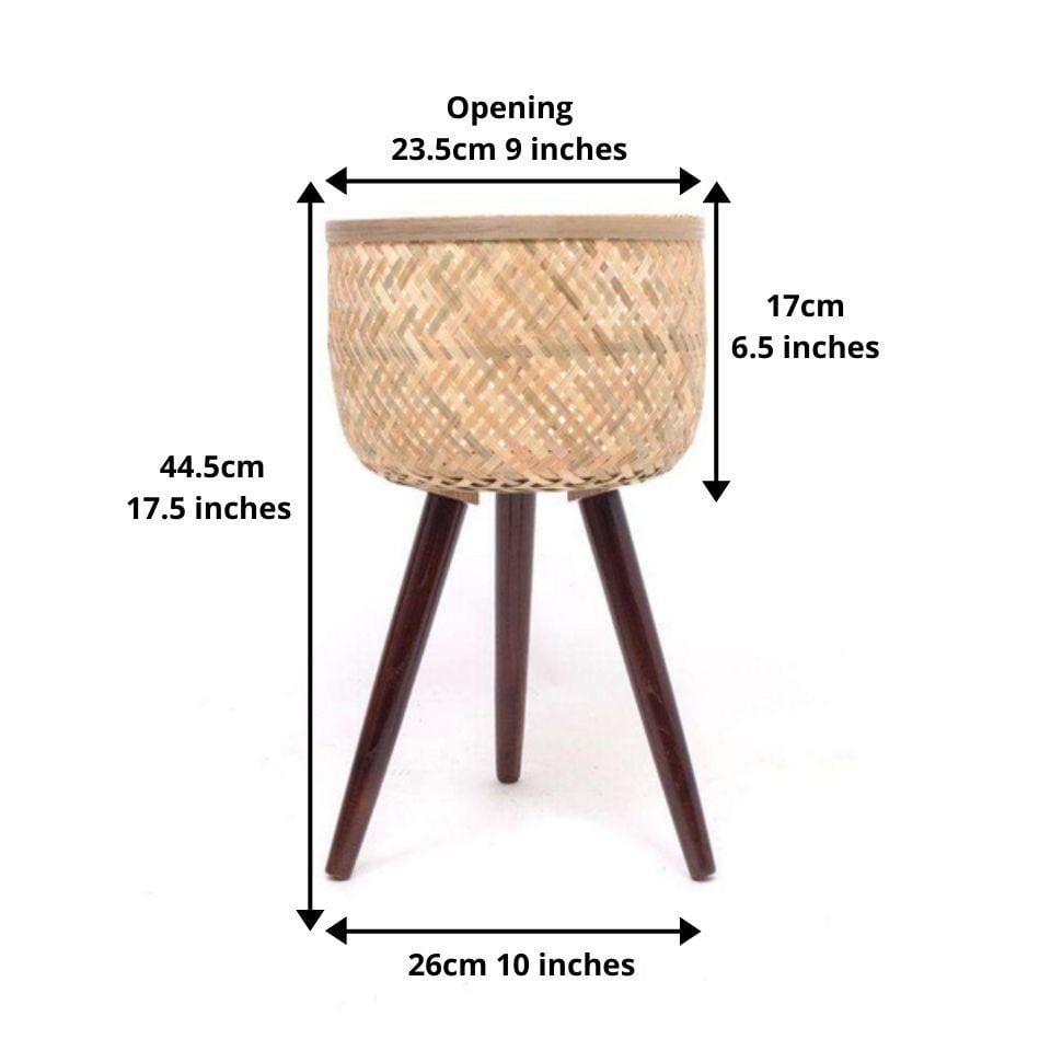Flar Bamboo Planter On Wooden Stand 