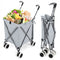 Folding Shopping Utility Cart with Water-Resistant Removable Canvas Bag