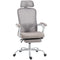 Ergonomic Office Chair, Mesh Reclining Desk Chair with Adjustable Lumbar Support, Headrest, Grey