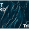 Tri-Art Gift Card – Digital or Physical Gift Card for Art Supplies, Paints, Markers & Artist Materials for Creative Professionals & Hobbyists