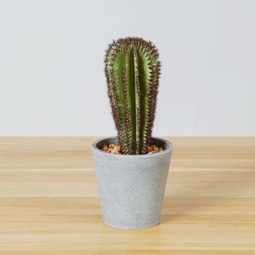 Goza Artificial Cactus Tree Potted Plant 9" 