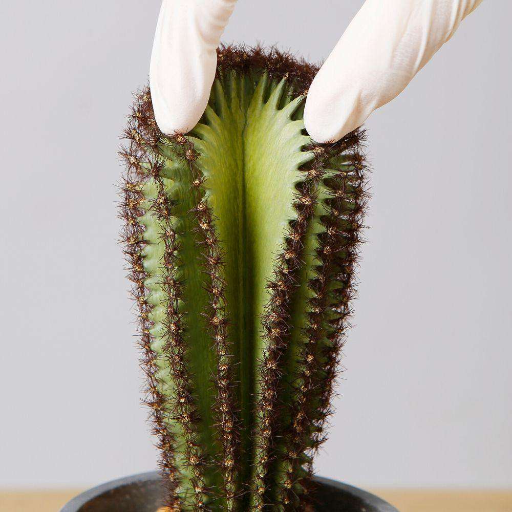 Goza Artificial Cactus Tree Potted Plant 9" 