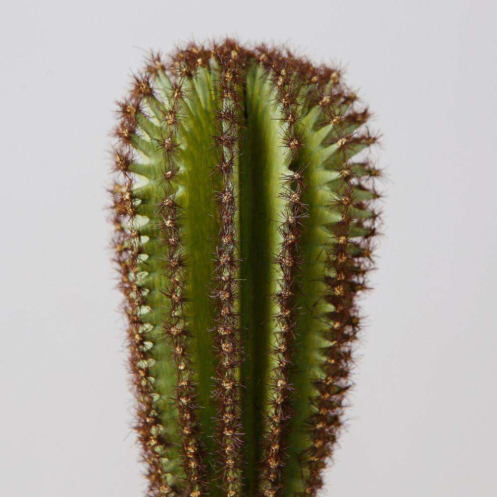 Goza Artificial Cactus Tree Potted Plant 9" 