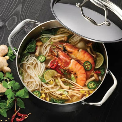 5-Quart Stainless Steel Dutch Oven with Lid - Oven and Cooktop Safe - Free Shipping 