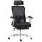 Ergonomic Office Chair, Mesh Reclining Desk Chair with Adjustable Lumbar Support, Headrest, Black