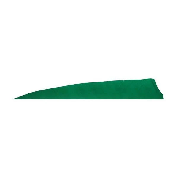 Badass Archery Right-Wing Shield Feathers - 36 Pack 