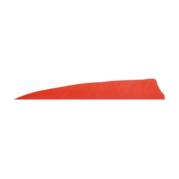 Badass Archery Right-Wing Shield Feathers - 36 Pack 