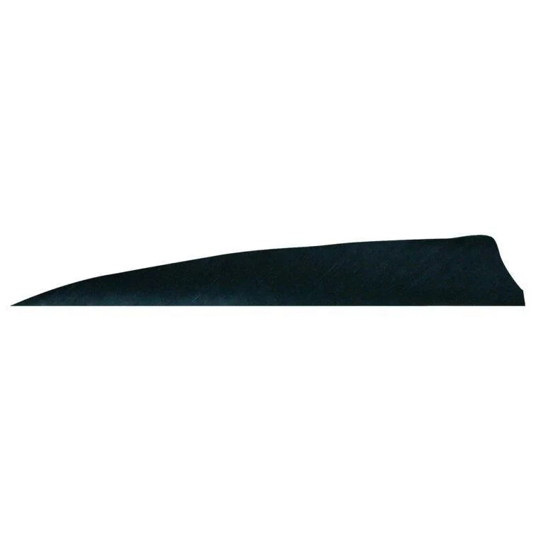 Badass Archery Right-Wing Shield Feathers - 36 Pack 
