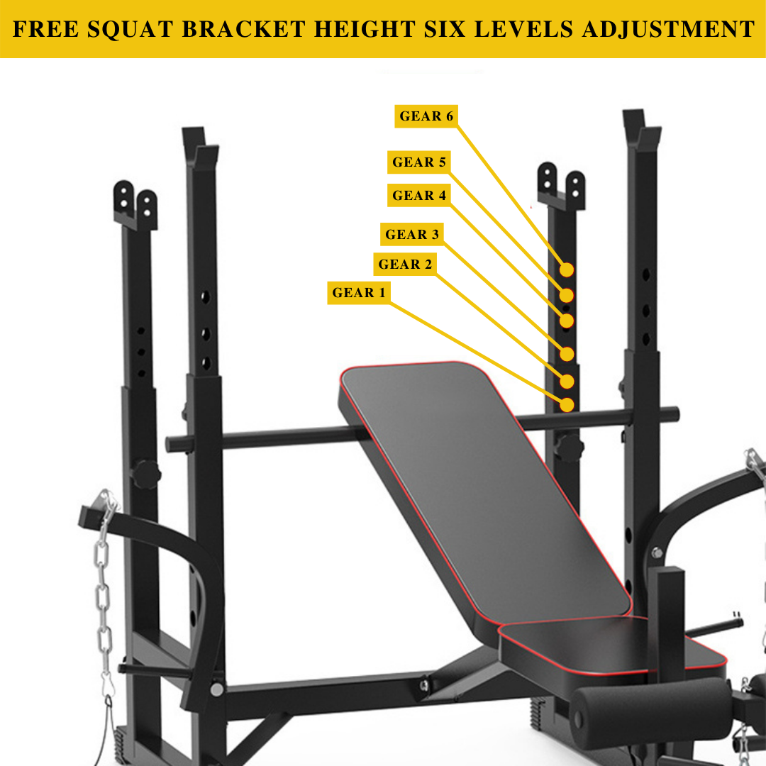 Adjustable Workout Bench with Lat Pulldown Pulley, Scott Bench & Barbell Rack ST6655 