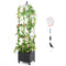 Giantex Raised Garden Bed with Tomato Cages, Obelisk & Bird Top