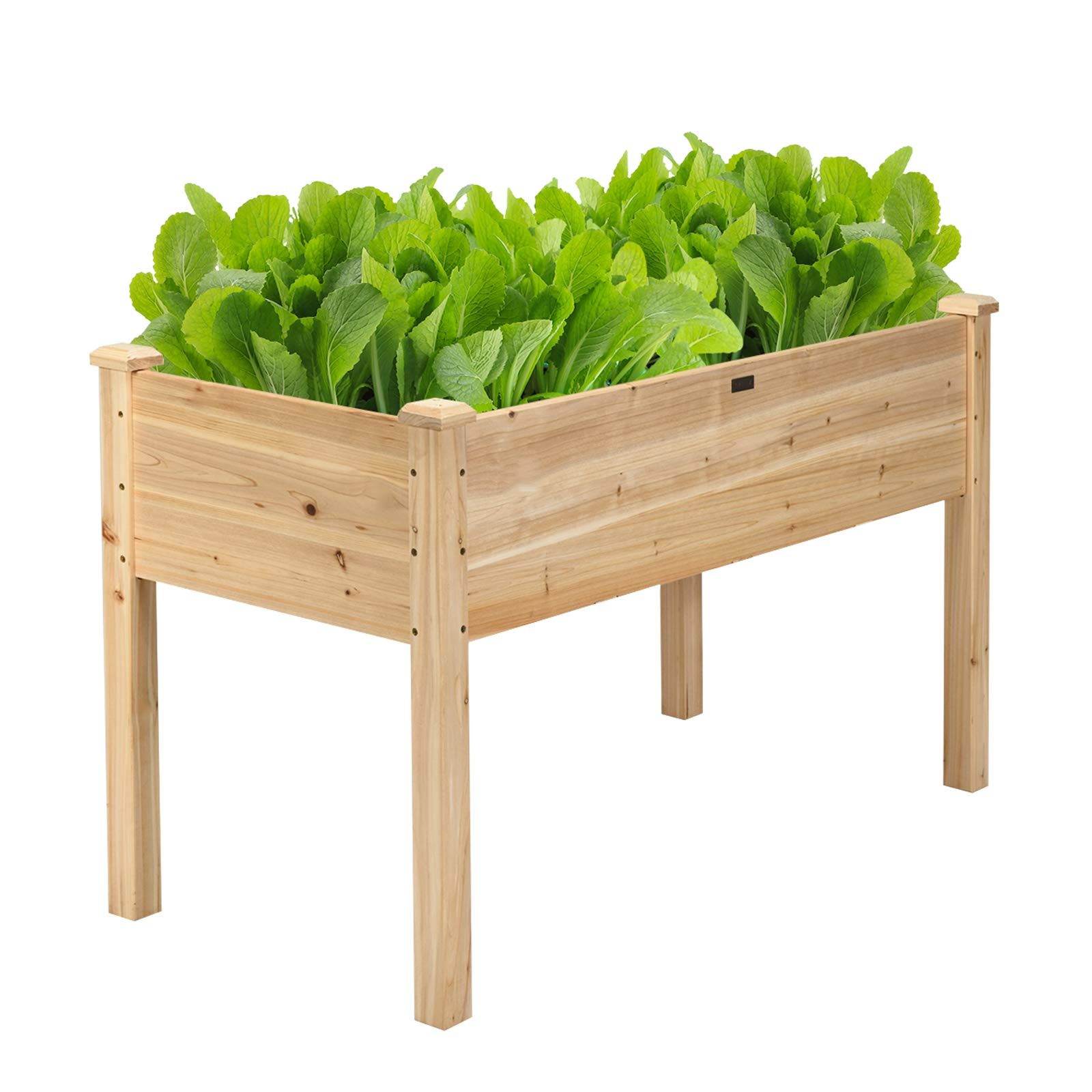 Raised Garden Bed with Legs, 49" L x 23" W x 30" H 
