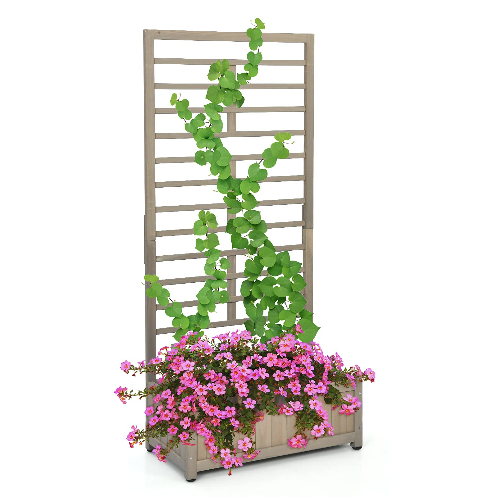 Plant Raised Bed with Trellis for Flower Climbing 