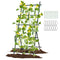 Giantex Cucumber Trellis, Trellis for Climbing Plants Outdoor