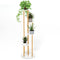 Giantex 4 Tier Plant Stand Indoor