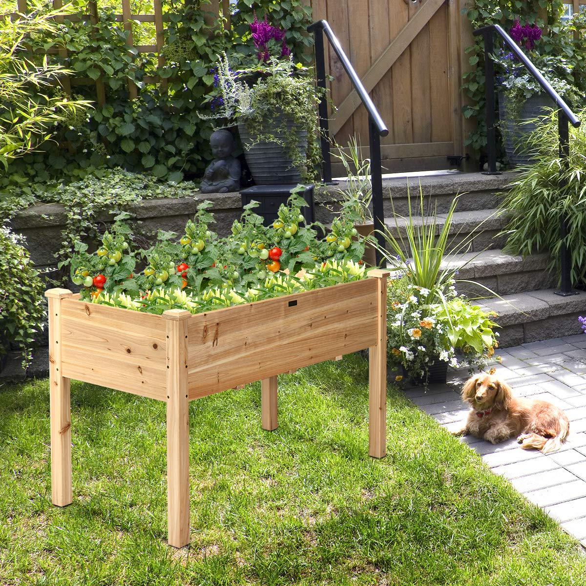 Raised Garden Bed with Legs, 49" L x 23" W x 30" H 