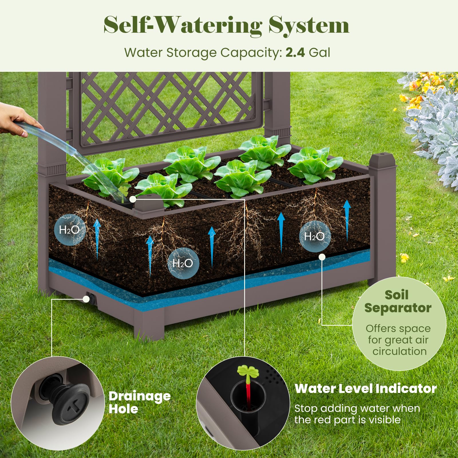 Giantex Raised Garden Bed with Trellis 59”, Self-Watering Planter Box with Water Level Indicator & Removable Space Dividers 
