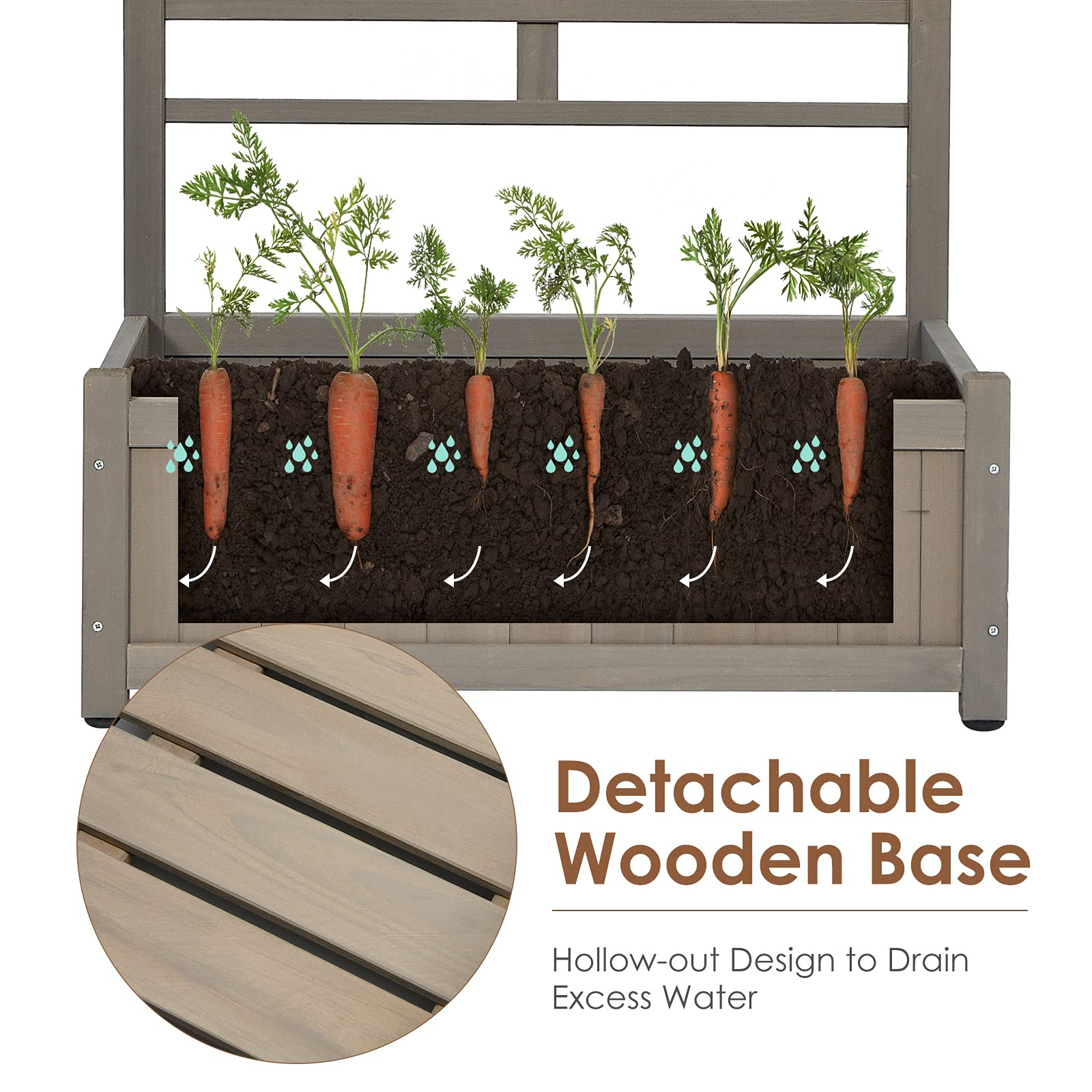 Plant Raised Bed with Trellis for Flower Climbing 