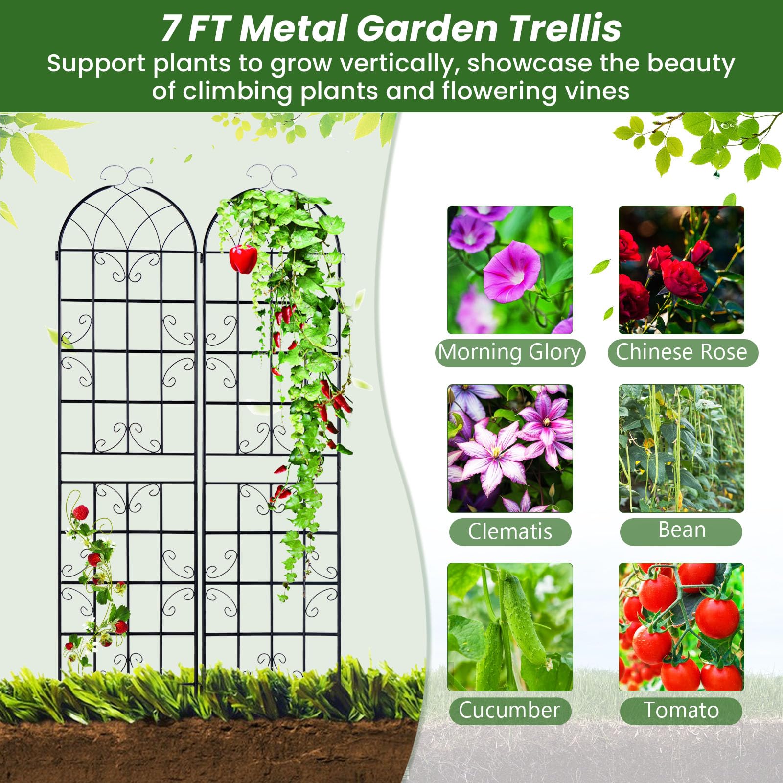 Giantex 2 Pack Trellis for Climbing Plants Outdoor, 7 FT Tall Galvanized Steel Garden Trellis 