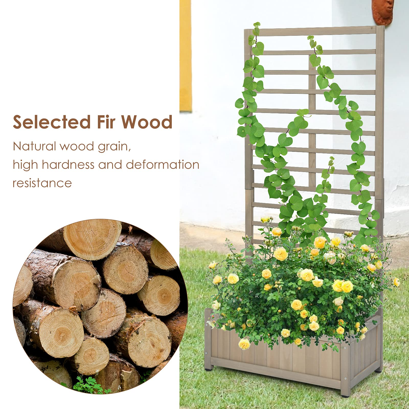 Plant Raised Bed with Trellis for Flower Climbing 