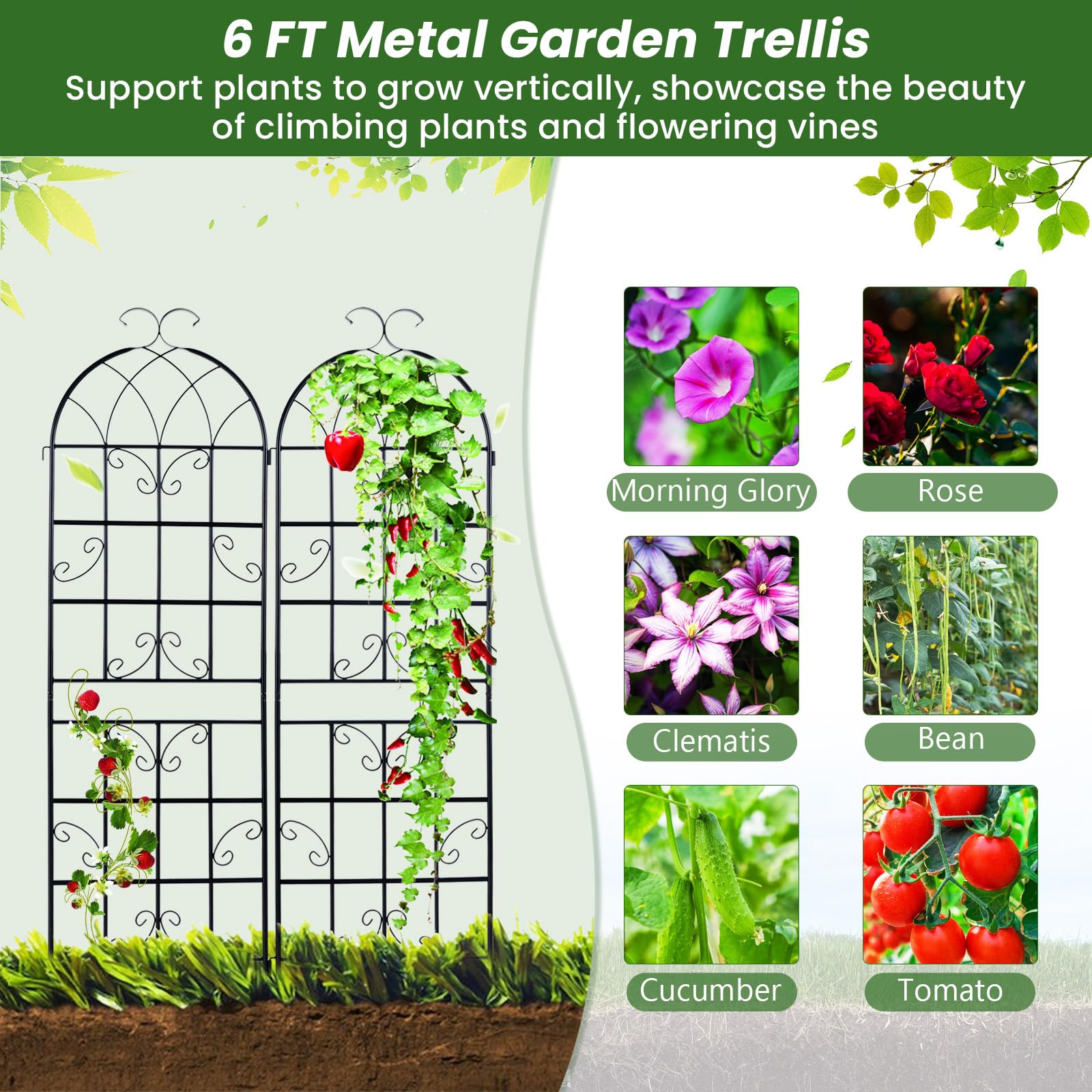 Giantex Trellis for Climbing Plants Outdoor, 6 FT Tall Galvanized Steel Garden Trellis 