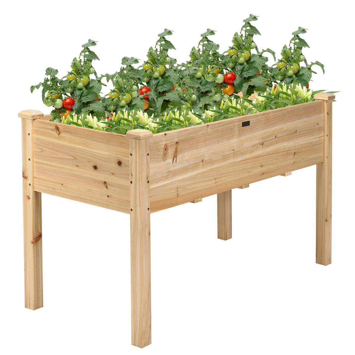 Raised Garden Bed with Legs, 49" L x 23" W x 30" H 