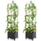 Giantex Raised Garden Bed with Tomato Cages, Obelisk & Bird Top
