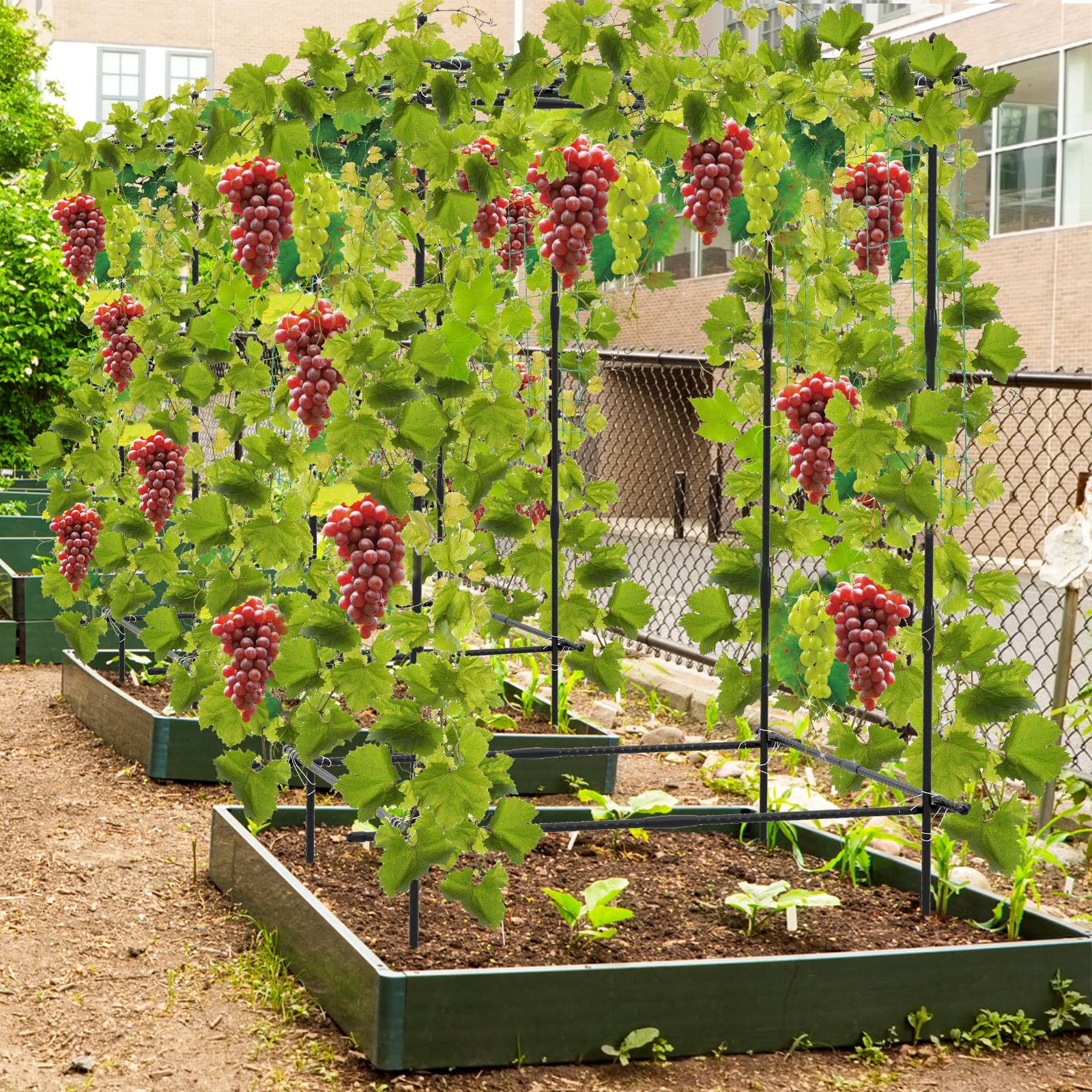 Giantex Cucumber Trellis, Trellis for Climbing Plants Outdoor 