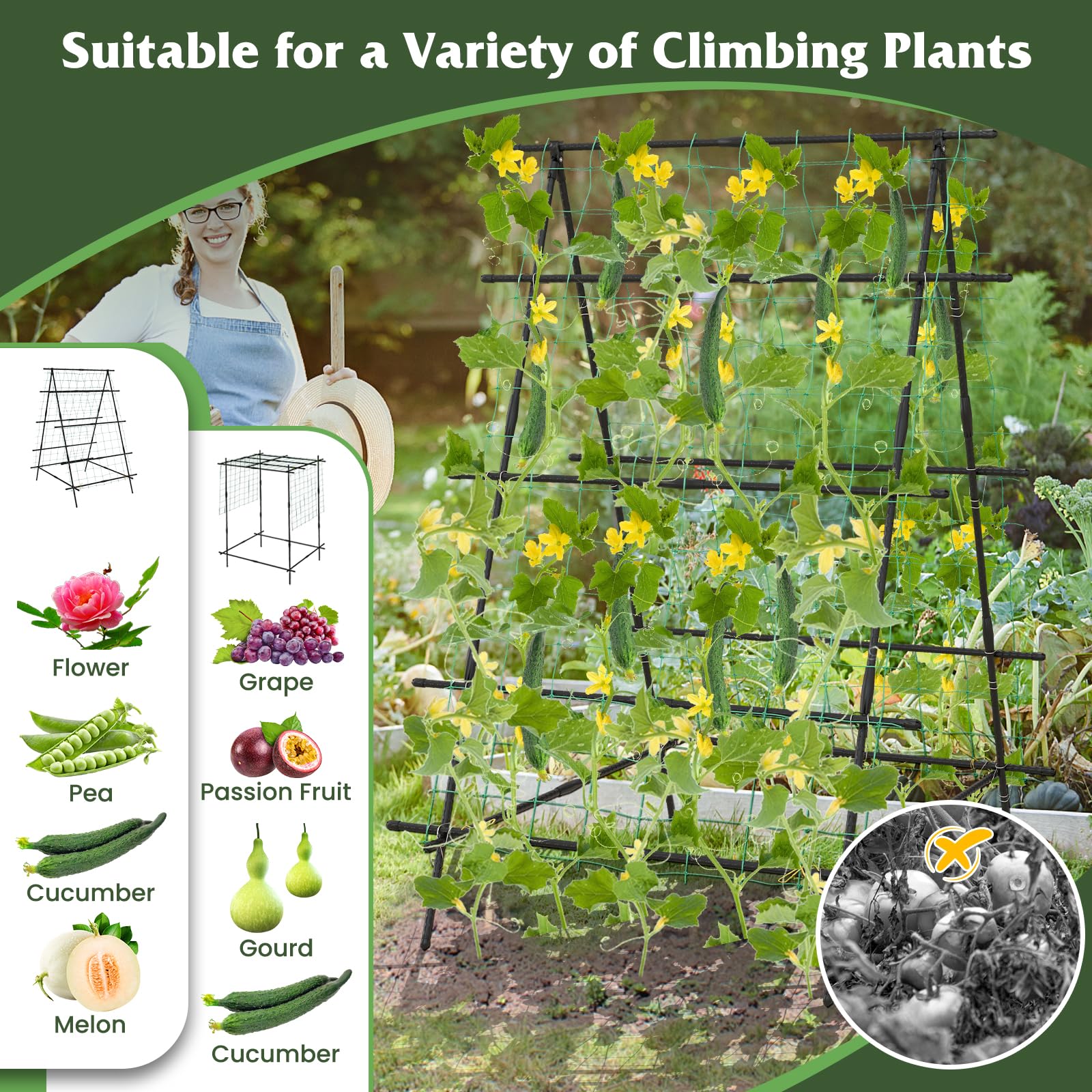 Giantex Cucumber Trellis, Trellis for Climbing Plants Outdoor 