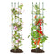 Giantex 2-Pack Tomato Cages