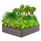 Giantex Planter Raised Bed, 8 Inch Deep, Brown
