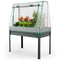 Giantex 3-in-1 Raised Garden Bed with Greenhouse Cover & Trellis Rope, 46”x23.5”x59” Raised Bed for Flower Herb Vegetable